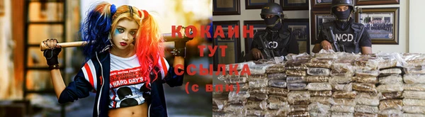 дмт Володарск