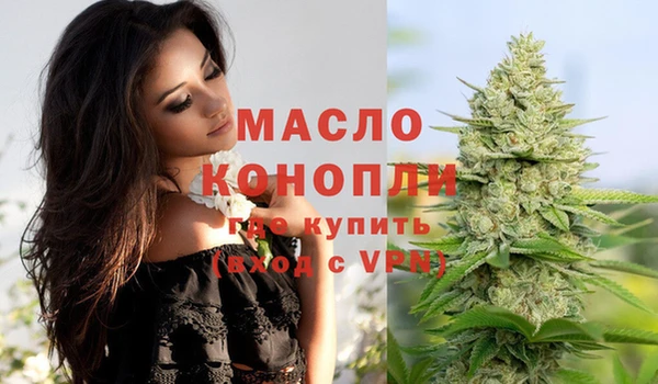 дмт Володарск