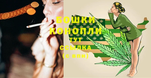 гидра Новоульяновск