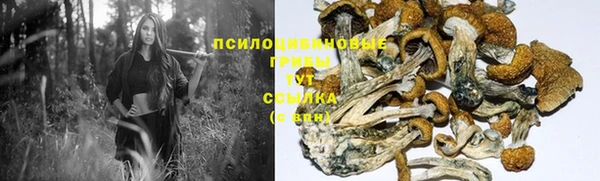 скорость mdpv Горняк